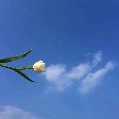 挂机大圣官方