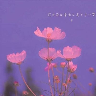 星空趣游app官方版下载