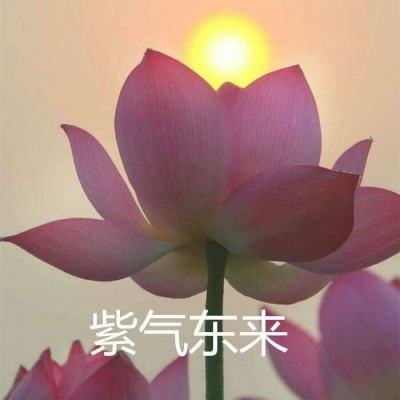 古剑奇谭二之剑逐月华果盘客户端下载