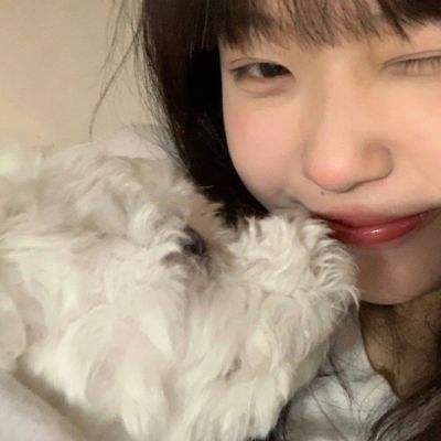 忍者别bb果盘版下载